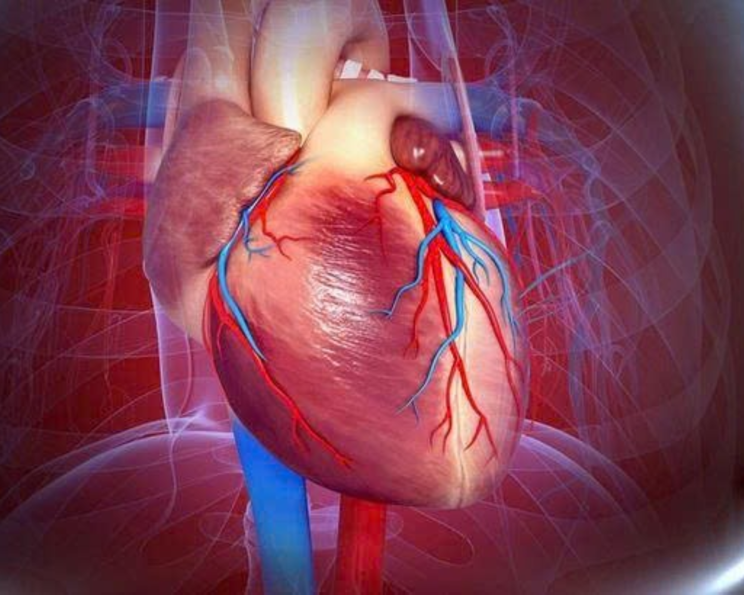 Nhồi máu cơ tim là một trong những bệnh lý nguy hiểm, có thể đe dọa trực tiếp tính mạng