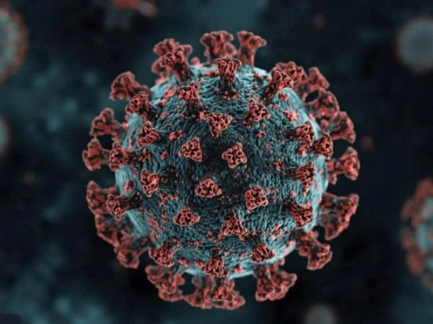 Biến thể BA.3.2 đang lây lan tại nhiều quốc gia.